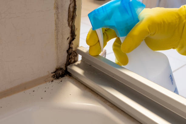 Best Emergency Mold Removal  in Ozk, AR