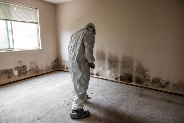 Water Damage Restoration in Ozark, AR